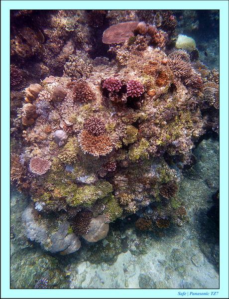 2012 - 07 - Boracay plongee - 15